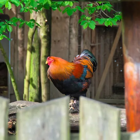 Berggasthof Butterberg Estalagem