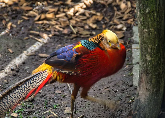 Berggasthof Butterberg 3*